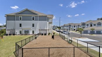 Pet park and pet wash